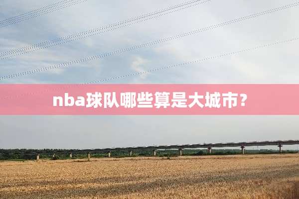 nba球队哪些算是大城市？