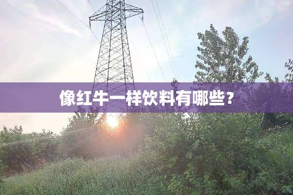 像红牛一样饮料有哪些？