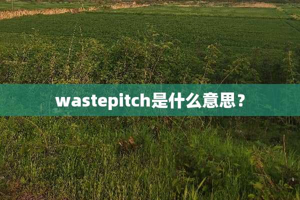 wastepitch是什么意思？
