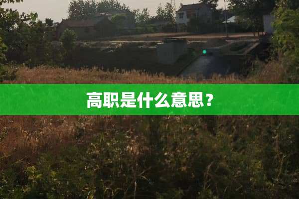 高职是什么意思？
