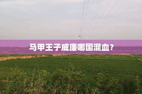 马甲王子威廉哪国混血？