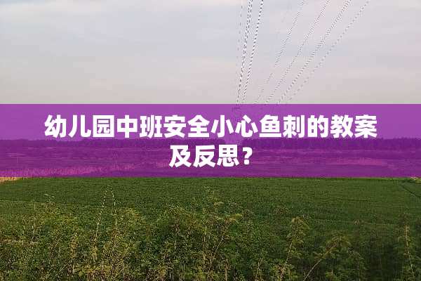 幼儿园中班安全小心鱼刺的教案及反思？