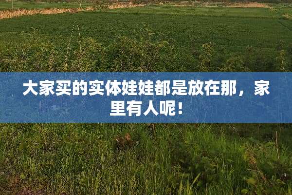 大家买的***娃都是放在那，家里有人呢！