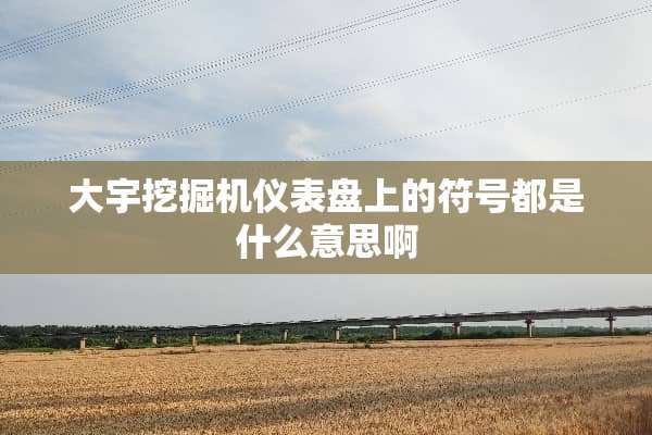 大宇挖掘机仪表盘上的符号都是什么意思啊
