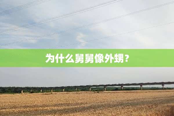 为什么舅舅像外甥？