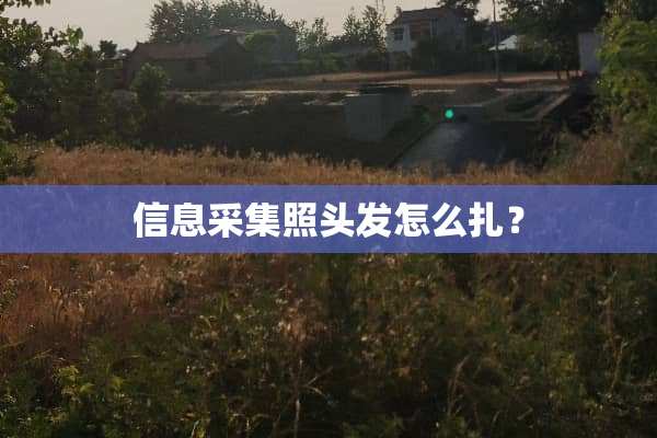 信息采集照头发怎么扎？