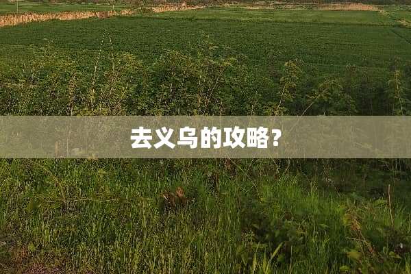 去义乌的攻略？