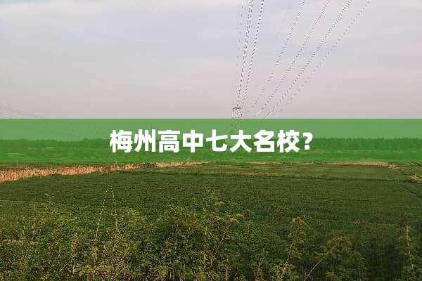 梅州高中七大名校？