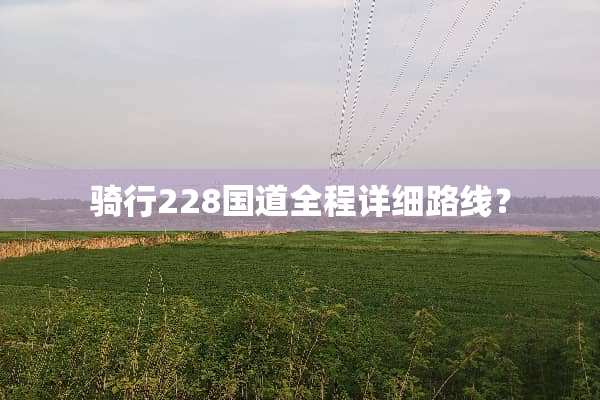 骑行228国道全程详细路线？