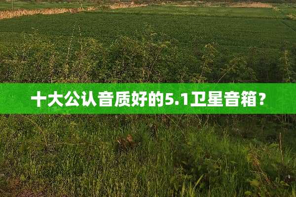 十大公认音质好的5.1卫星音箱？