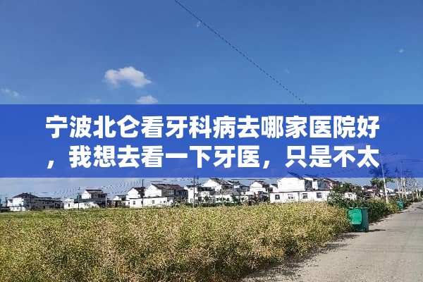 宁波北仑看牙科病去哪家医院好，我想去看一下牙医，只是不太了解哪家比较好？