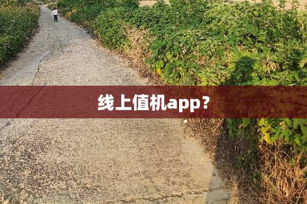 线上值机app？