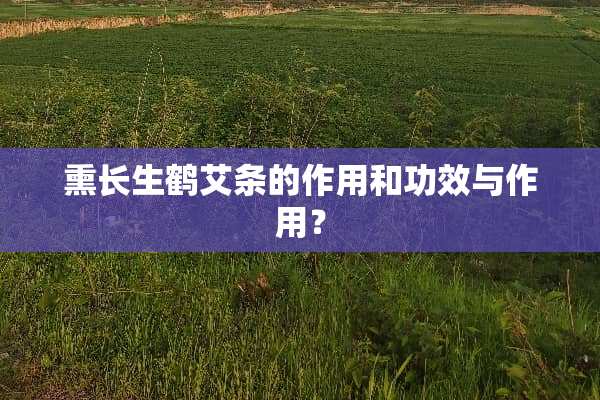 熏长生鹤艾条的作用和功效与作用？