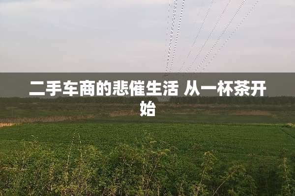 二手车商的悲催生活 从一杯茶开始