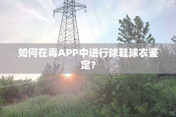 如何在毒APP中进行球鞋球衣鉴定？