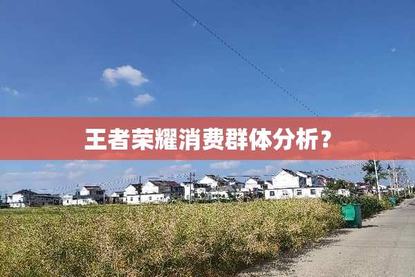 王者荣耀消费群体分析？
