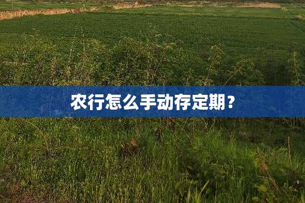 农行怎么手动存定期？