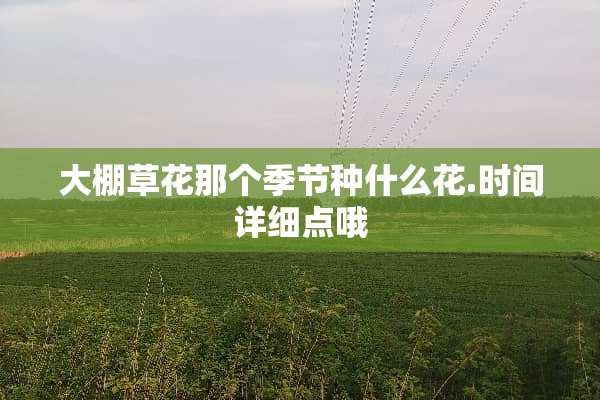 大棚草花那个季节种什么花.时间详细点哦