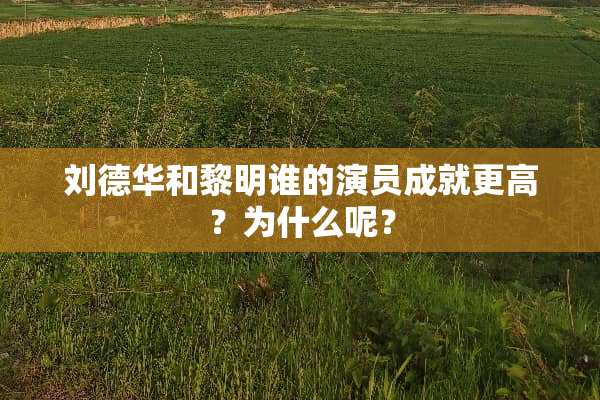 ***和黎明谁的演员成就更高？为什么呢？
