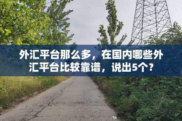 外汇平台那么多，在国内哪些外汇平台比较靠谱，说出5个？