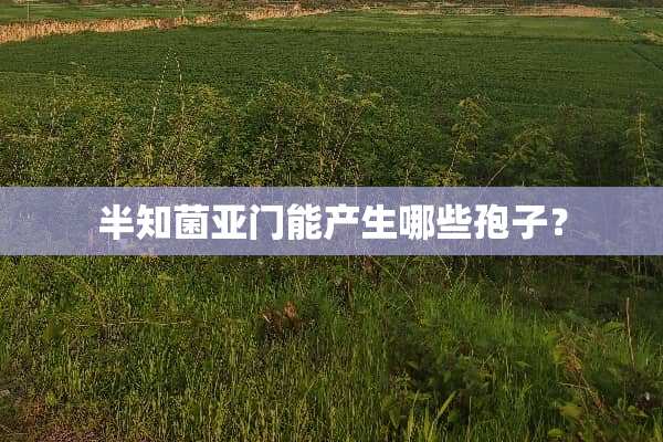 半知菌亚门能产生哪些孢子？
