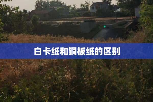 白卡纸和铜板纸的区别