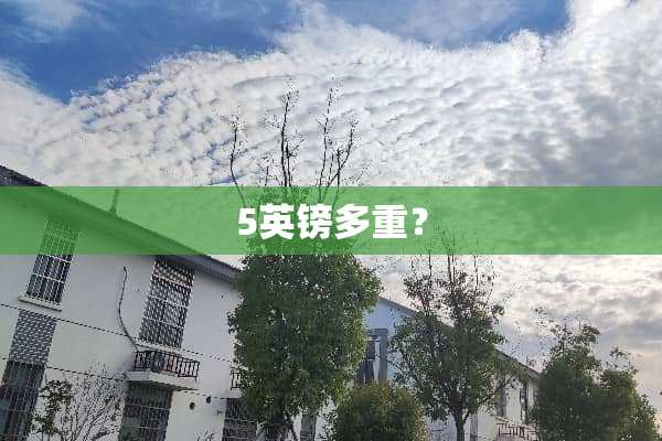 5英镑多重？