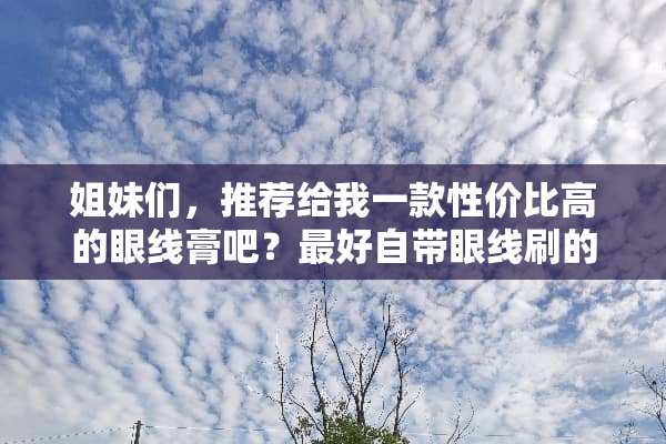 姐妹们，推荐给我一款性价比高的眼线膏吧？最好自带眼线刷的那种