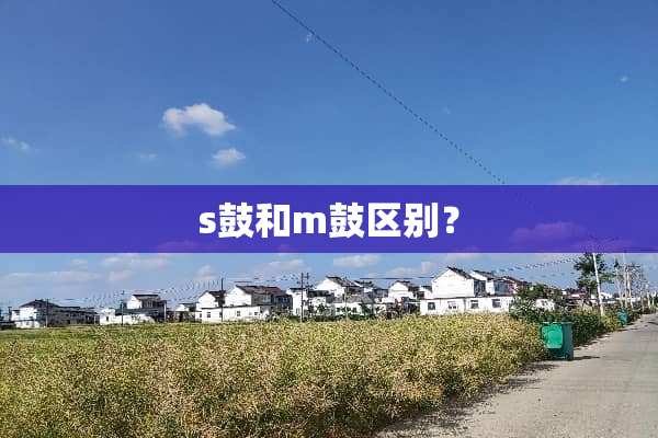 s鼓和m鼓区别？