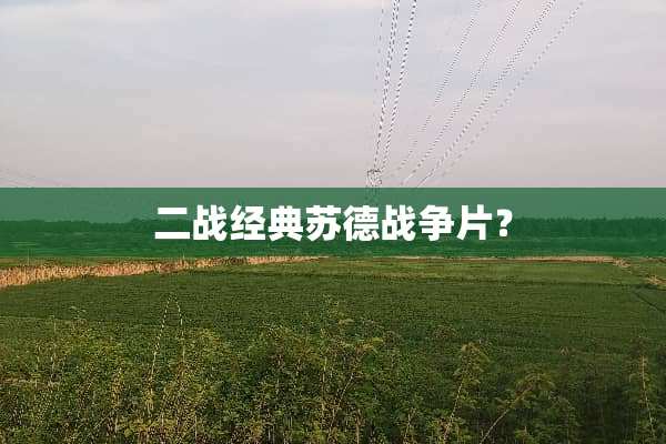 二战经典苏德战争片？
