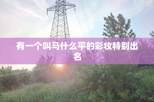 有一个叫马什么平的彩妆特别出名