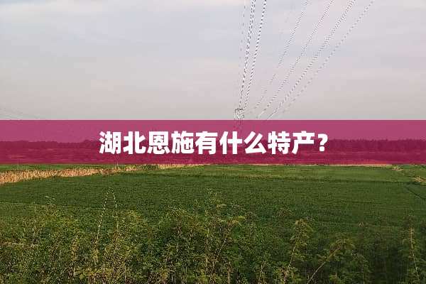 湖北恩施有什么特产？