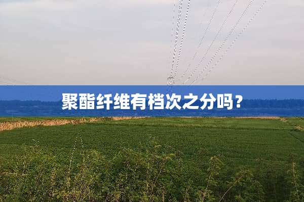 聚酯纤维有档次之分吗？