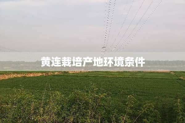 黄连栽培产地环境条件