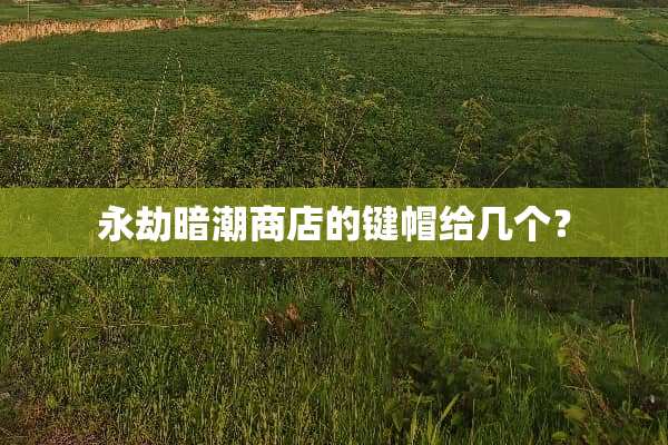 永劫暗潮商店的键帽给几个？