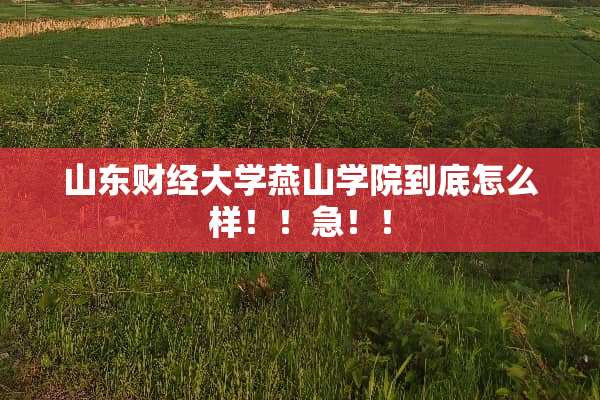 山东财经大学燕山学院到底怎么样！！急！！