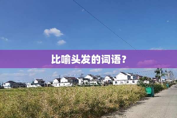 比喻头发的词语？