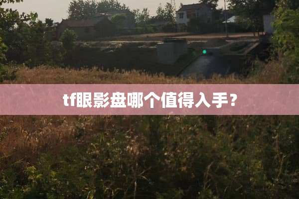 tf眼影盘哪个值得入手？
