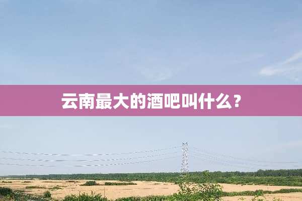 云南最大的酒吧叫什么？