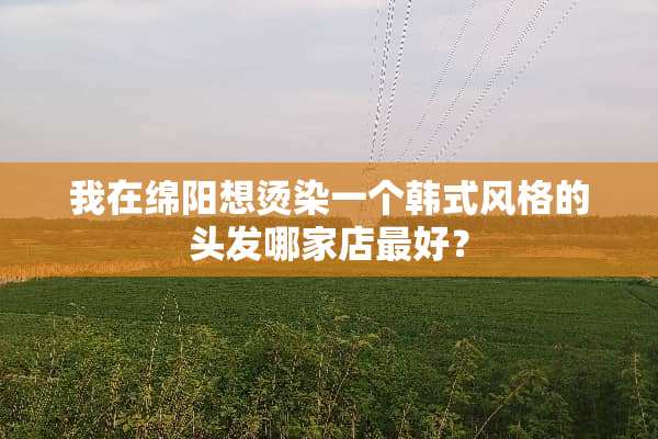 我在绵阳想烫染一个韩式风格的头发哪家店最好？
