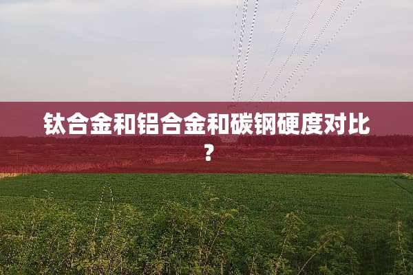 钛合金和铝合金和碳钢硬度对比？