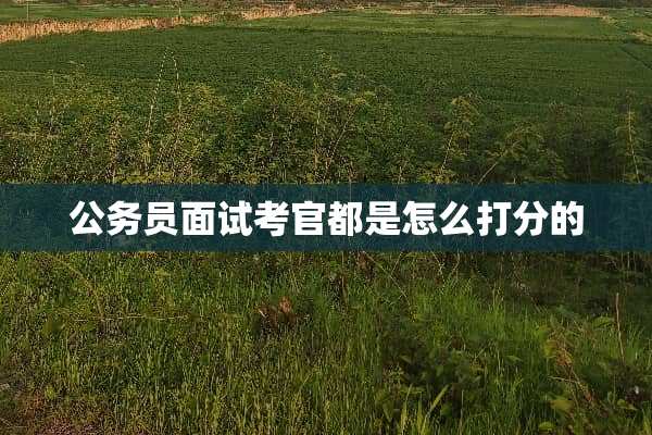 公务员面试考官都是怎么打分的
