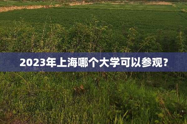 2023年上海哪个大学可以参观？