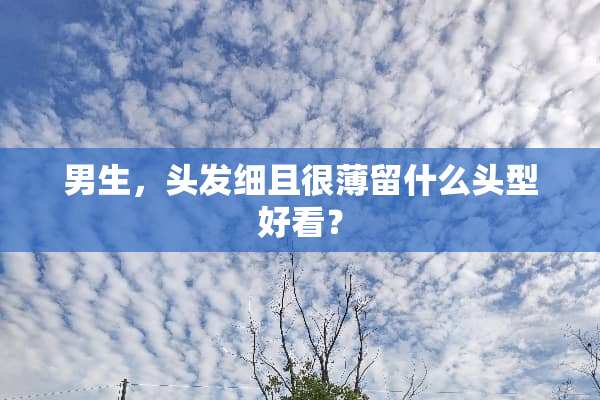 男生，头发细且很薄留什么头型好看？