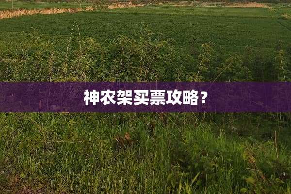 神农架买票攻略？