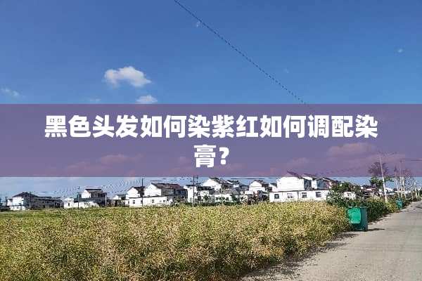 黑色头发如何染紫红如何调配染膏？
