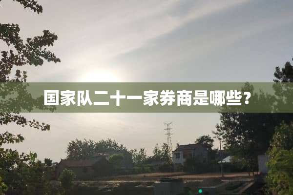国家队二十一家券商是哪些？