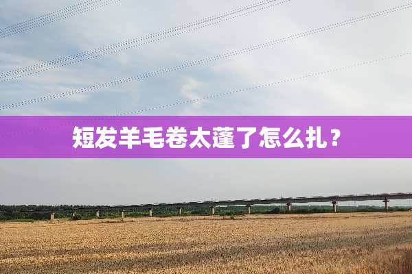 短发羊毛卷太蓬了怎么扎？