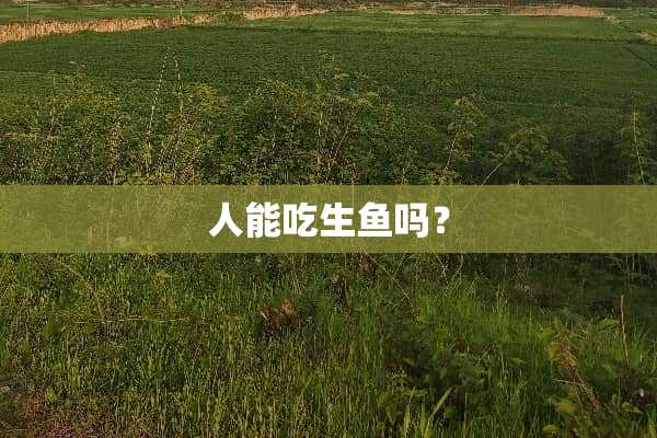 人能吃生鱼吗？