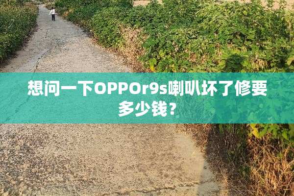想问一下OPPOr9s喇叭坏了修要多少钱？